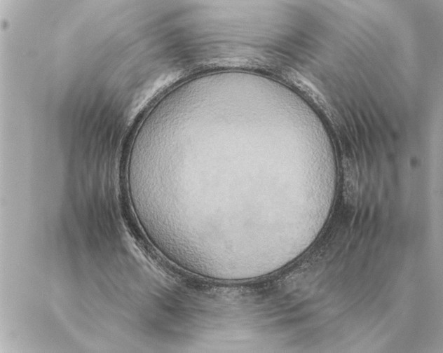 X0000088210482200706051301