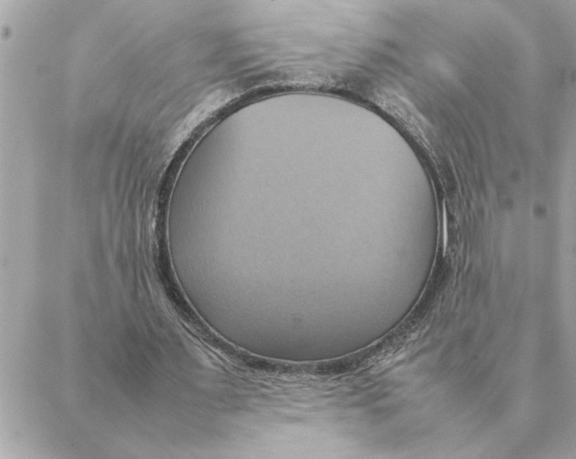 X0000088210483200706051301