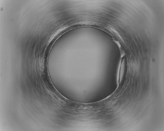 X0000088210484200706051301