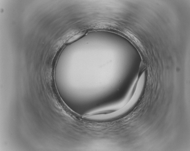 X0000088210485200706051301