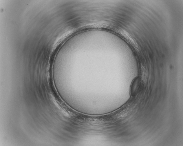 X0000088210486200706051301