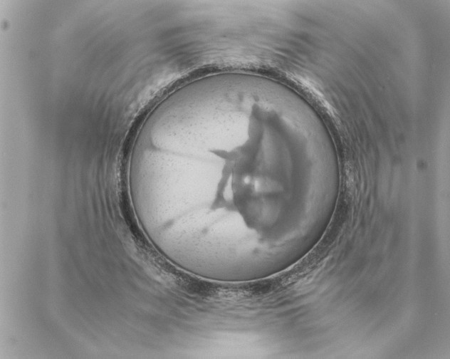 X0000088210487200706051301