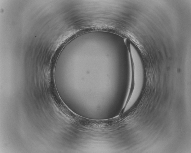 X0000088210488200706051300