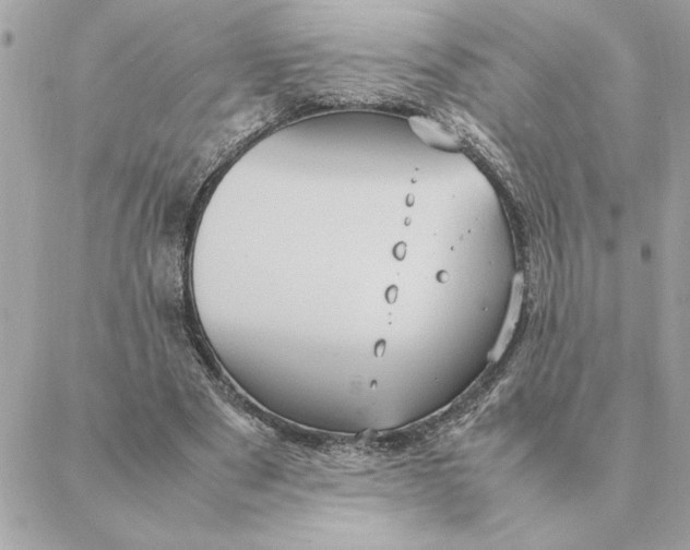 X0000088210489200706051300