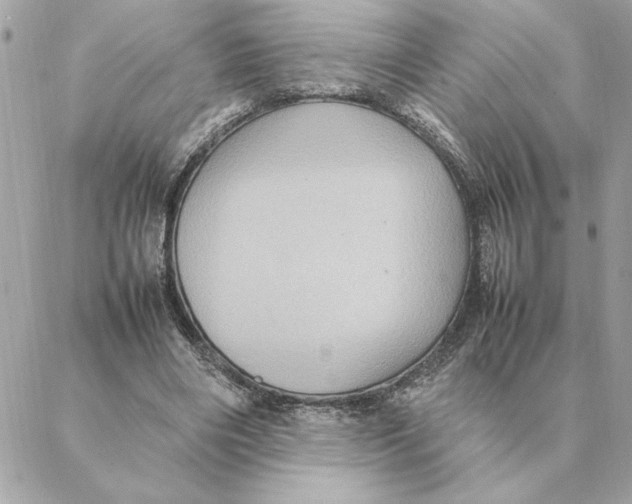 X0000088210490200706051300