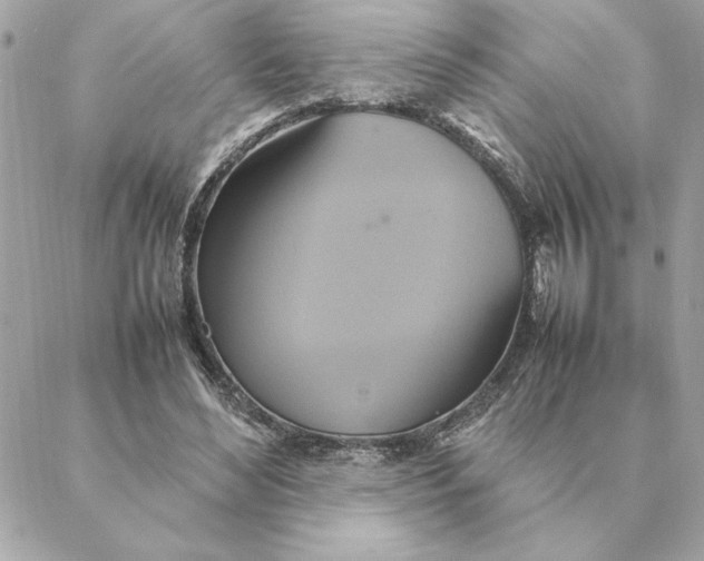 X0000088210492200706051300