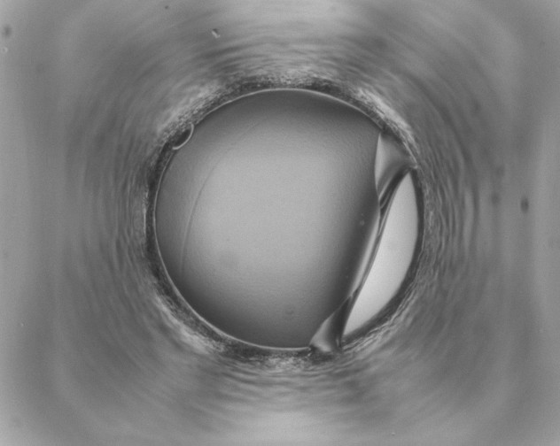 X0000088210493200706051300