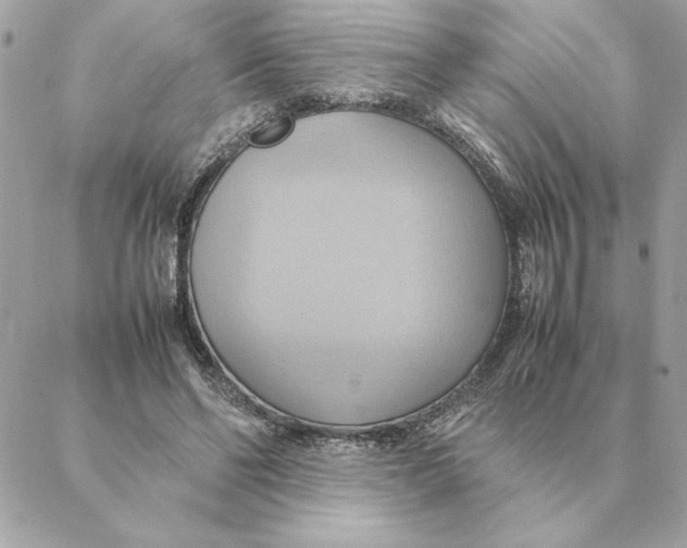 X0000088210494200706051300