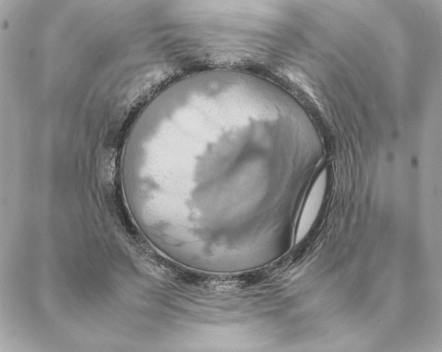 X0000088210495200706051300