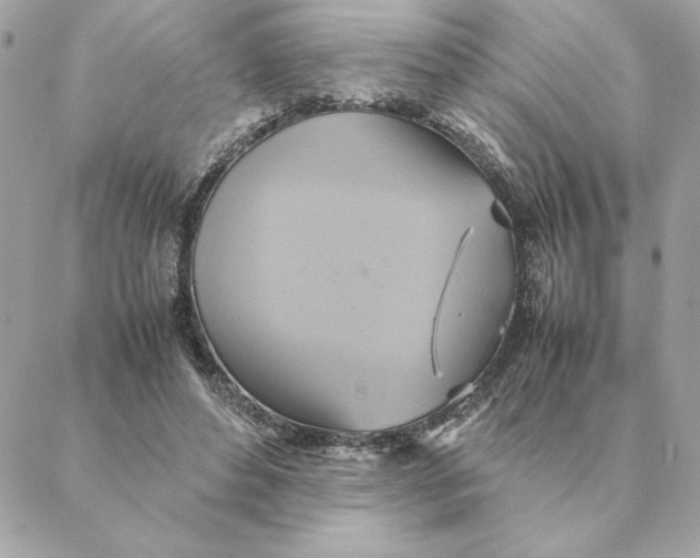 X0000088210496200706051300