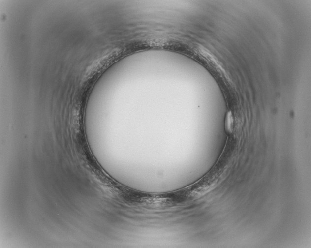 X0000088210497200706051300