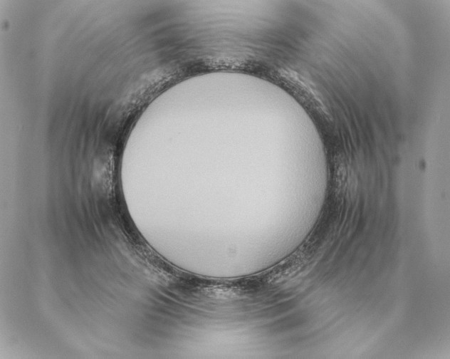 X0000088210498200706051300