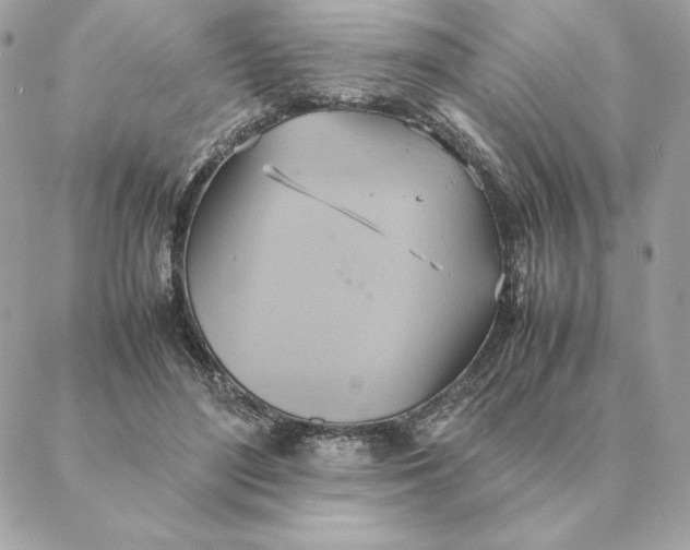 X0000088210500200706051300