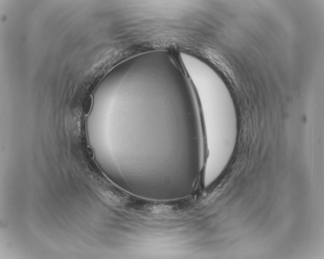 X0000088210501200706051300