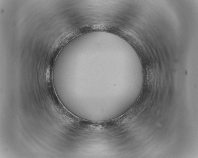 X0000088210502200706051300