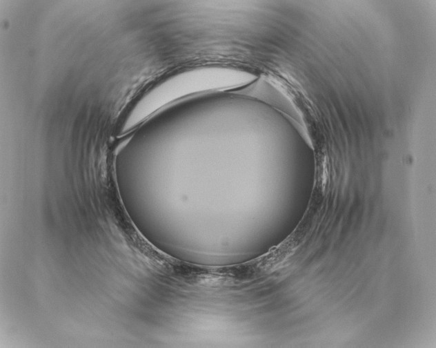 X0000088210504200706051300