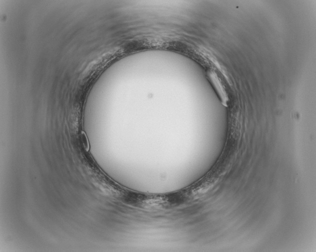 X0000088210505200706051300