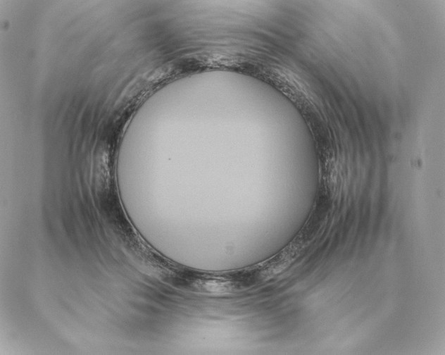 X0000088210506200706051300