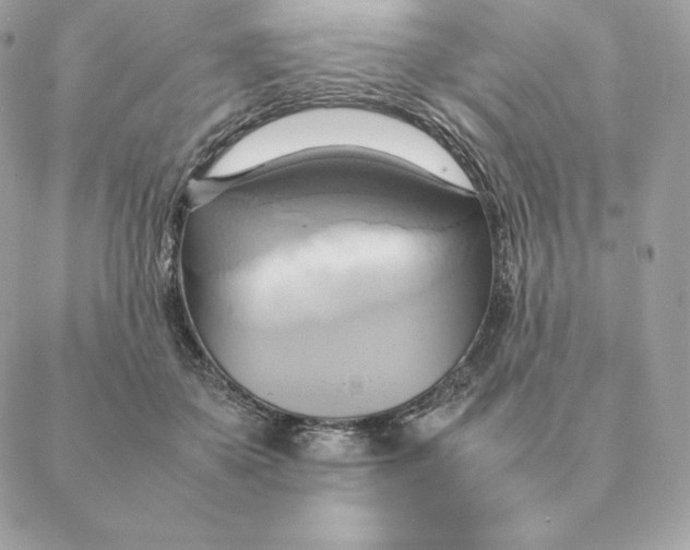 X0000088210507200706051300