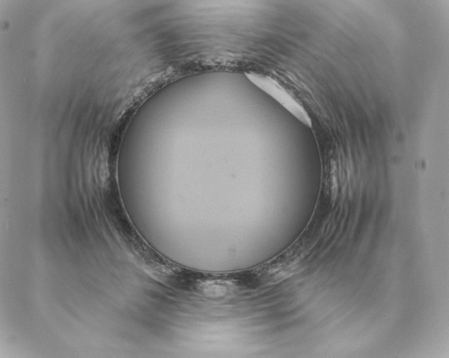 X0000088210508200706051300