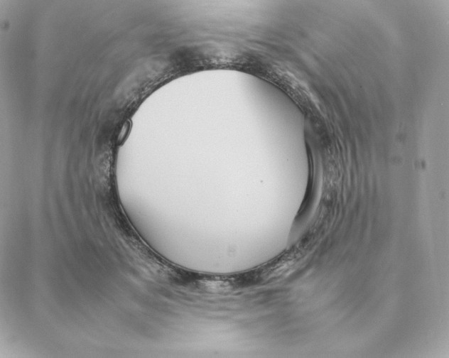 X0000088210509200706051300