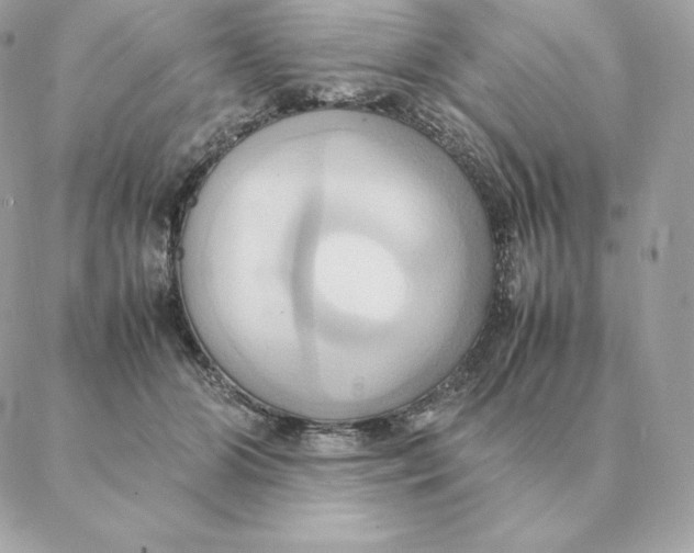 X0000088210510200706051300