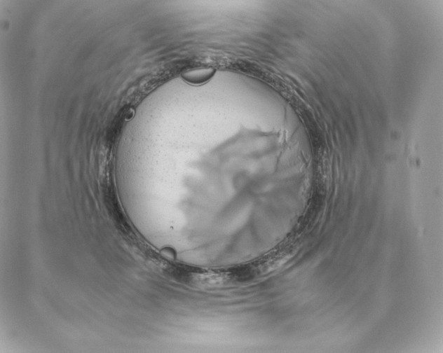 X0000088210511200706051300