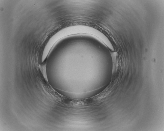 X0000088210512200706051300