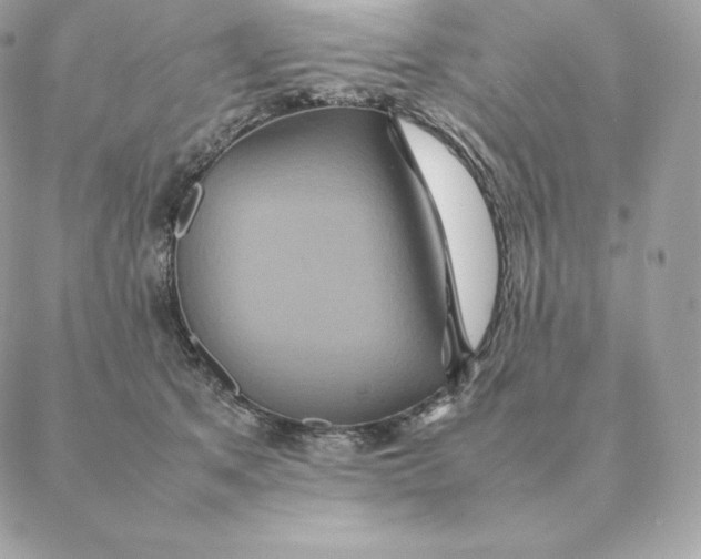 X0000088210513200706051300