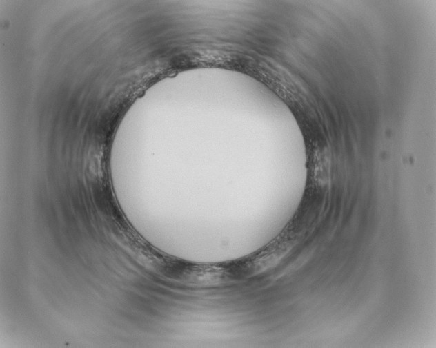 X0000088210514200706051300