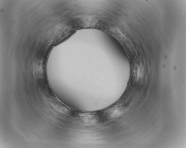 X0000088210516200706051300