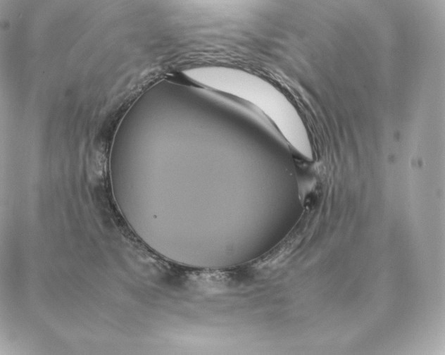 X0000088210517200706051300