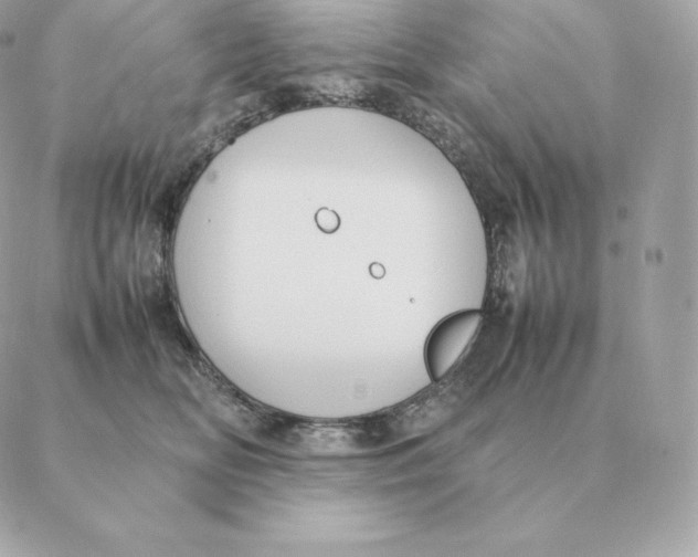 X0000088210518200706051300