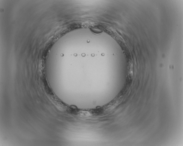 X0000088210519200706051300