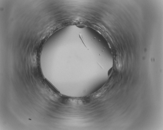 X0000088210520200706051300