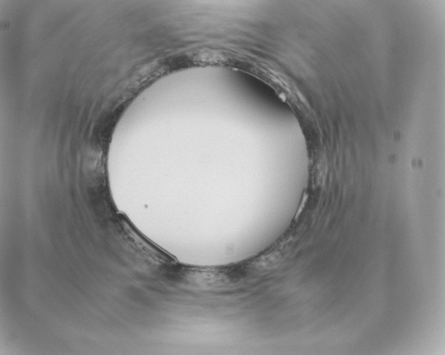 X0000088210521200706051300