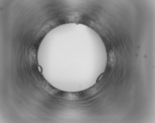 X0000088210522200706051300