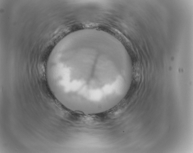 X0000088210523200706051300