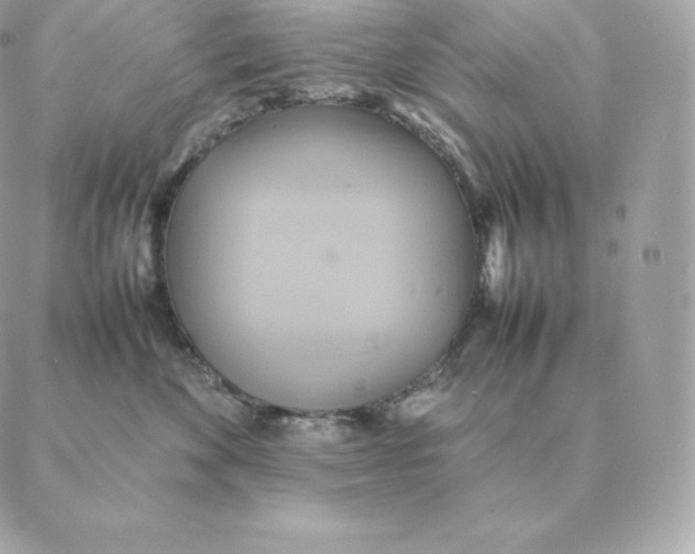 X0000088210524200706051300