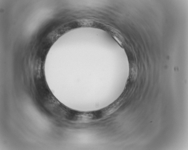 X0000088210525200706051300