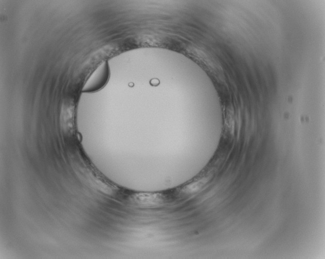 X0000088210526200706051300