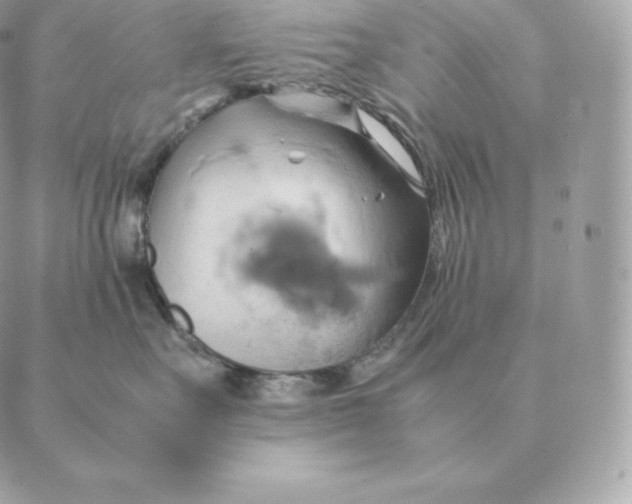 X0000088210527200706051300