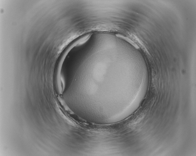 X0000088210530200706051259