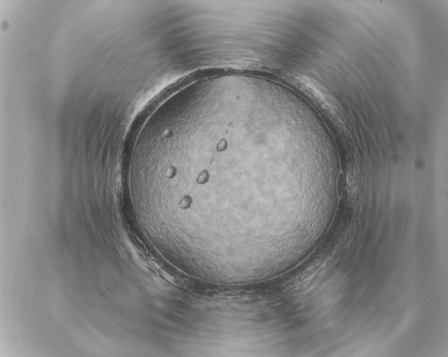 X0000088210532200706051259