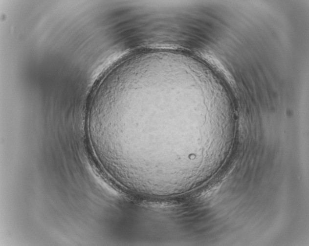 X0000088210533200706051259