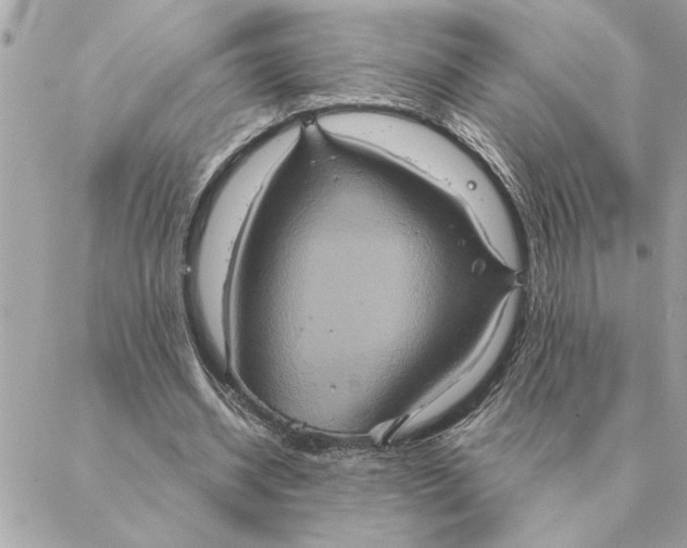 X0000088210534200706051259