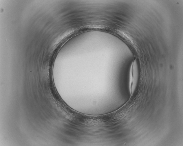 X0000088210535200706051259