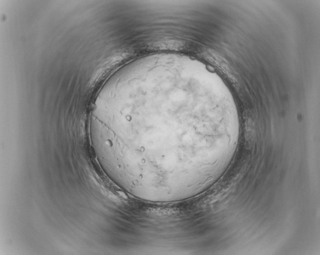 X0000088210537200706051259