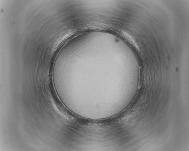 X0000088210538200706051259