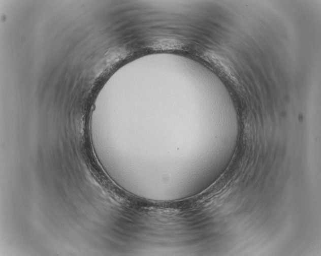 X0000088210539200706051259